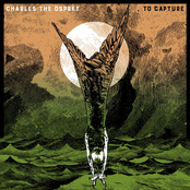 Charles the Osprey: To Capture