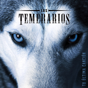 Los Temerarios: Tu Última Canción