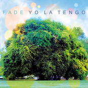 Yo La Tengo: Fade