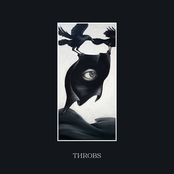 Throbs