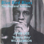 Blue Bird Blues