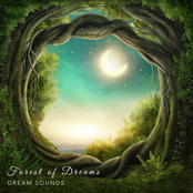 Forest of Dreams