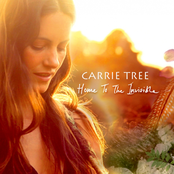 Never Said Goodbye by Carrie Tree