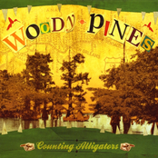 Counting Alligators by Woody Pines