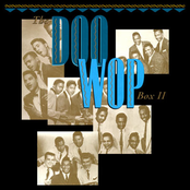 Doo Wop Box 2: 101 More Vocal Group Gems