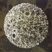Stria