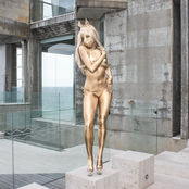 horsegiirL: v.i.p. - very important pony