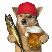 hahahahahajahajaihalhajksdhksahfkgdsfhgj