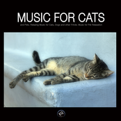Music for Cats and Pets - Relaxing Music for Dogs, Cats and Other Friends. Music for Pet Relaxation