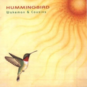 Hummingbird by Wakeman & Cousins