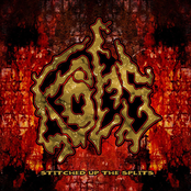 Stitched Up The Splits