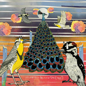 Fly or Die Fly or Die Fly or Die ((world war))