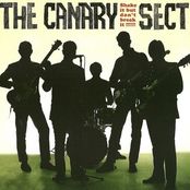 Shake It But Don't Break It!!!!!