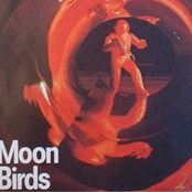 moon birds