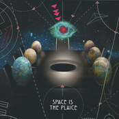 Space Is The Plaice
