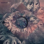 Album cover for Fleur, by Sepalcure