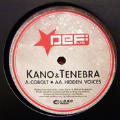 Cobolt / Hidden Voices