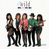 Who Needs You by Wild Rose