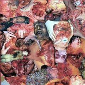 Specific Procedures For Post-Mortem Examinations: Autopsy Findings II