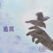追翼/VISTA