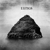Lungs 10