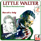 The Electric Harmonica Genius