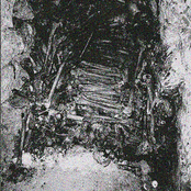 ...Of Rotting Soil and Spine