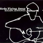 Mason Jennings: Birds Flying Away