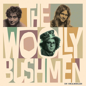 The Woolly Bushmen: In Shambles