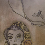 Split W/ Drive Me Home Please