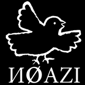 noazi