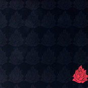 The New Familiars: The Storm