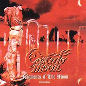 Cry For Freedom by Concerto Moon
