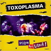 ...spielen ihre Lieder