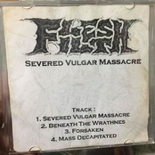Severed Vulgar Massacre