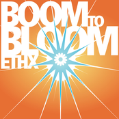 Boom To Bloom