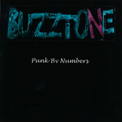 Punk By Numbers
