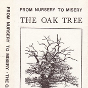 The Oak Tree