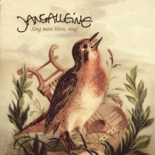 sing mein herz, sing!