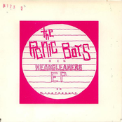 Huvudtvätt / Picnic Boys