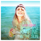 In the Sun (Laika Remix) - Single