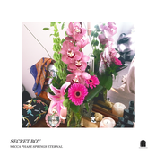 Wicca Phase Springs Eternal: Secret Boy