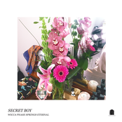 Wicca Phase Springs Eternal: SECRET BOY