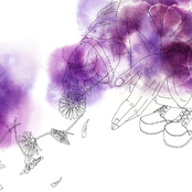 アンビュランスを呼ばないで