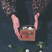 Shopping On The Left Bank