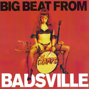 Big Beat from Badsville