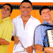 trio sabiá