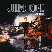 Pulsar by Julian Cope