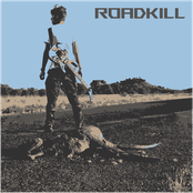 Roadkill