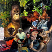 Infinite Monkey Theorem